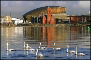 Cardiff Bay by Ben Salter