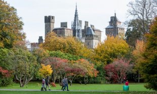 Cardiff Castle from Bute Park