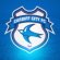 Cardiff City logo