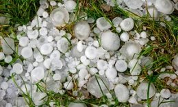 hailstones in the lawn