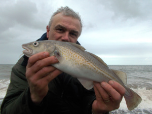 No potato chips using this cod, it returned