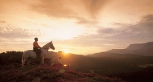 Picture of a horse and rider overlooking Cadair Idris in Wales, near Dolgellau