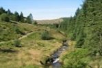 Picture of a walk into the Source of the Severn, Hafren woodland, Powys, click on through to find out more, including strolls, tracks and picnic sites. Find nearby accommodation and activities