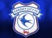 Cardiff City Official
