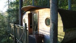 Tree home in Wales