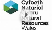 Natural Resources Wales / A-Z of places to go