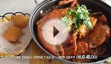 Top 10 Best Things to Do Eat and See in Singapore Travel